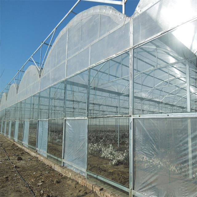 Agriculture greenhouse frame multispan vegetables growing tunnel multi span film greenhouse