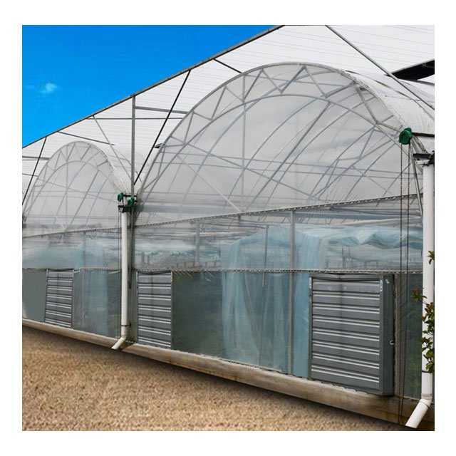 Agricultural High Strength Waterproof Transparent 200 Micron Greenhouse Plastic Film