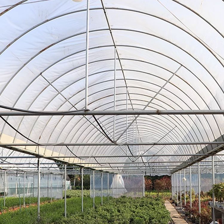 Agricultural High Strength Waterproof Transparent 200 Micron Greenhouse Plastic Film