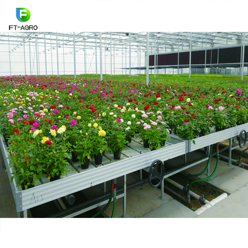 Greenhouse Rolling Benches Seed Nursery Bed Agricultural Greenhouse Equipment