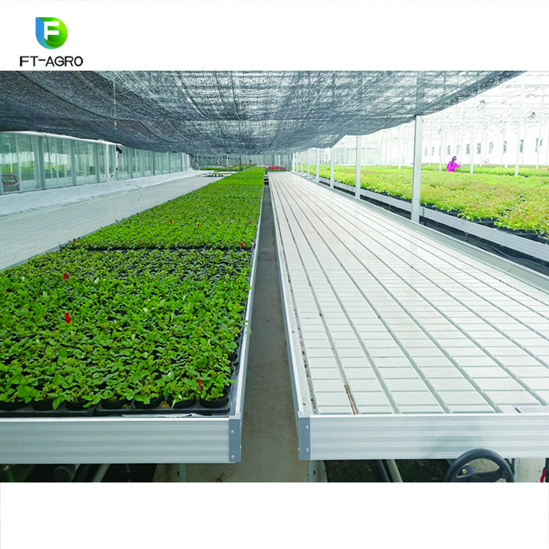 Greenhouse Rolling Benches Seed Nursery Bed Agricultural Greenhouse Equipment