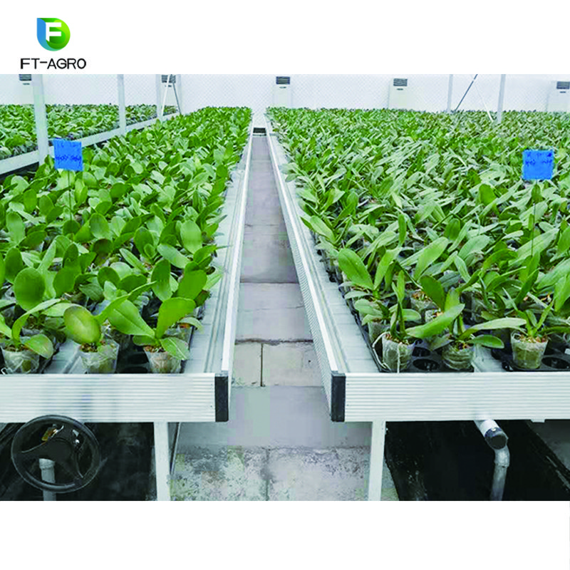 Greenhouse Rolling Benches Seed Nursery Bed Agricultural Greenhouse Equipment