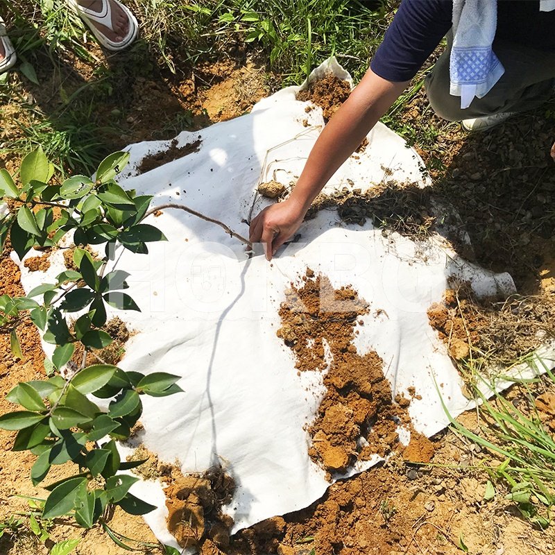 HOKBG High-quality agriculcural film biodegradable mulch cover weed control mat mulch film agriculture