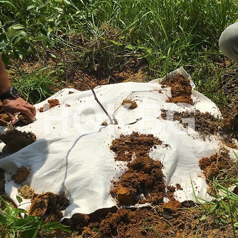 HOKBG High-quality agriculcural film biodegradable mulch cover weed control mat mulch film agriculture