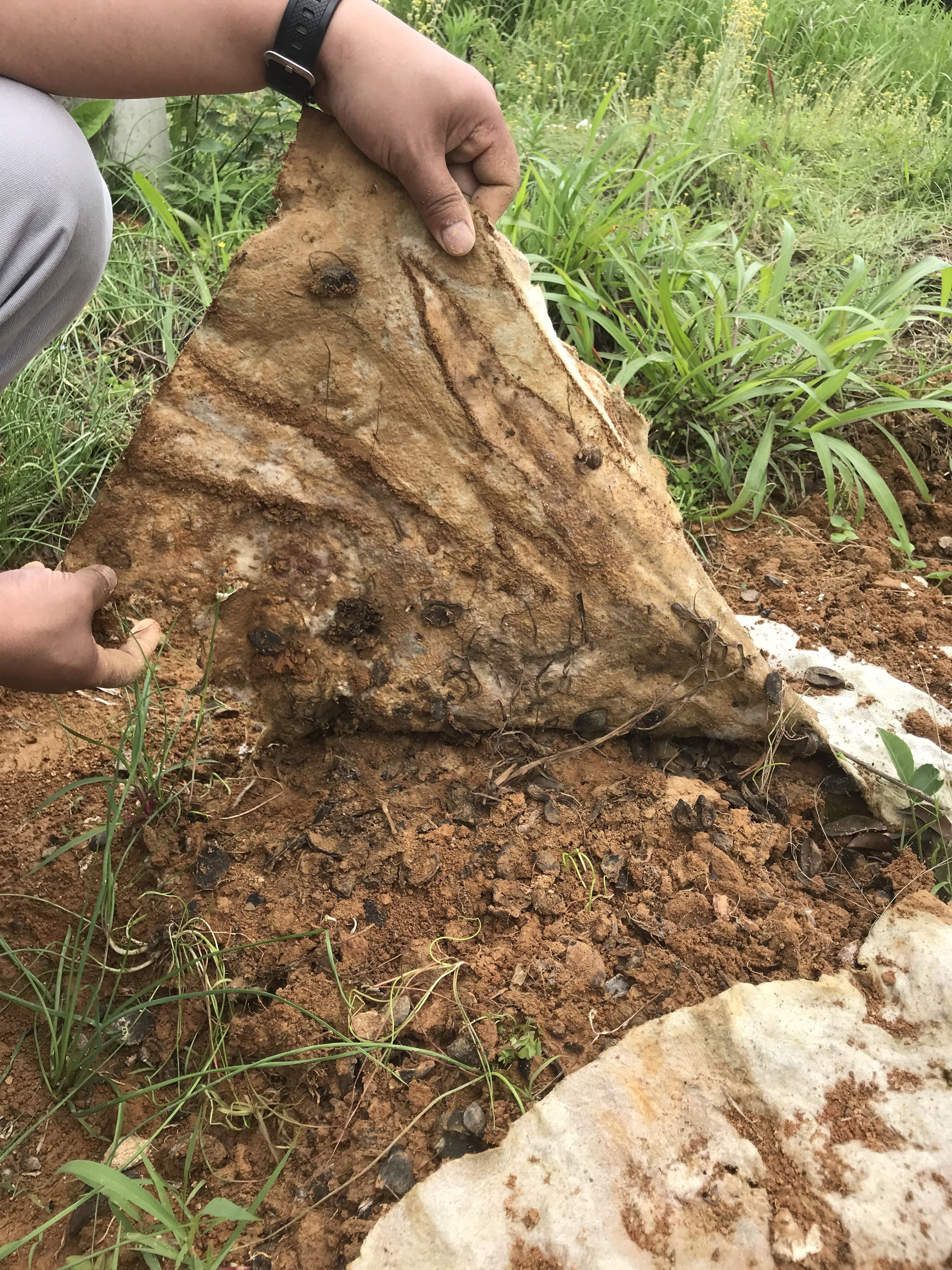HOKBG High-quality agriculcural film biodegradable mulch cover weed control mat mulch film agriculture