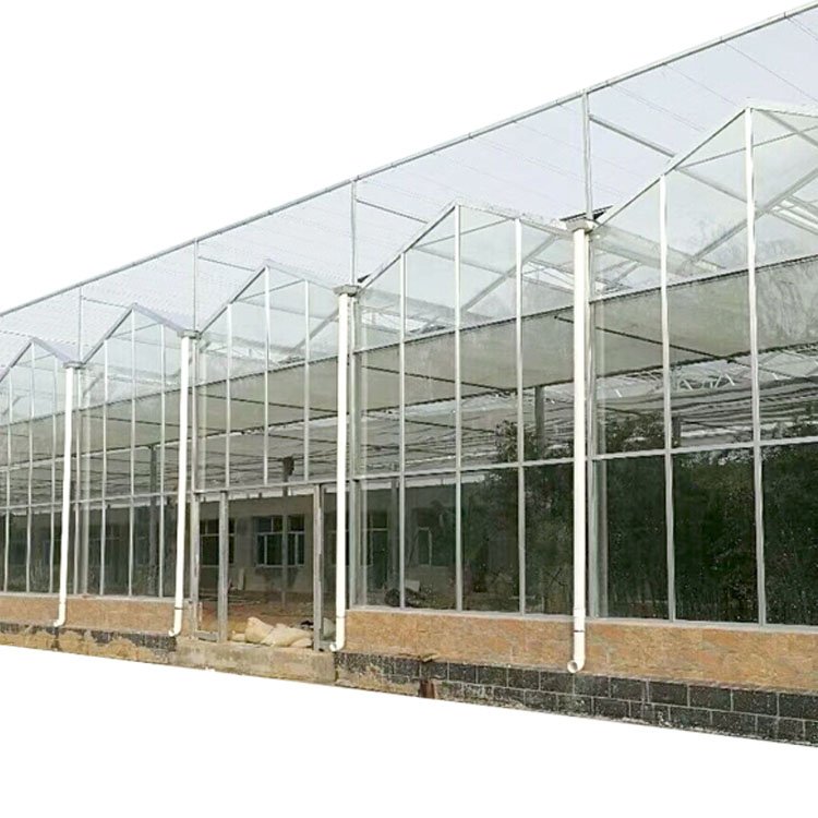 Large Modern Agricultural Greenhouse Automatic Multi-Span Venlo Glass Hydroponic Feature Steel Material