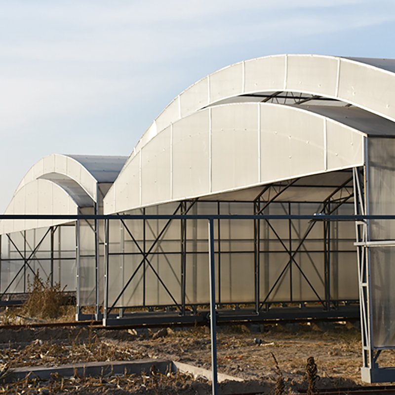 Multi Span Greenhouse Plastic Film Agricultural Greenhouse With Tomato Green House