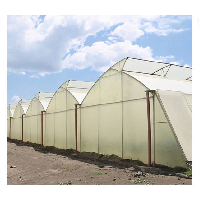 Agricultural Poly Greenhouse Coverings Film UV Resistant 200 Micron Plastic Film Vegetable Protection UV Clear Film Fit