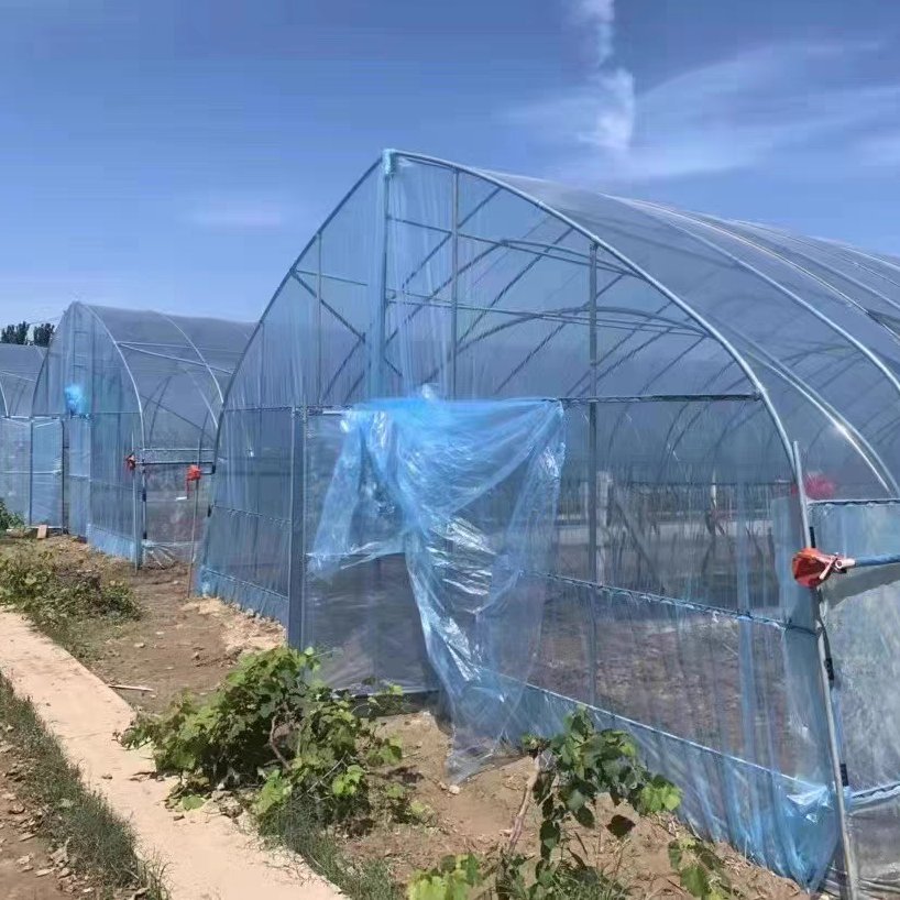 Agricultural Poly Greenhouse Coverings Film UV Resistant 200 Micron Plastic Film Vegetable Protection UV Clear Film Fit