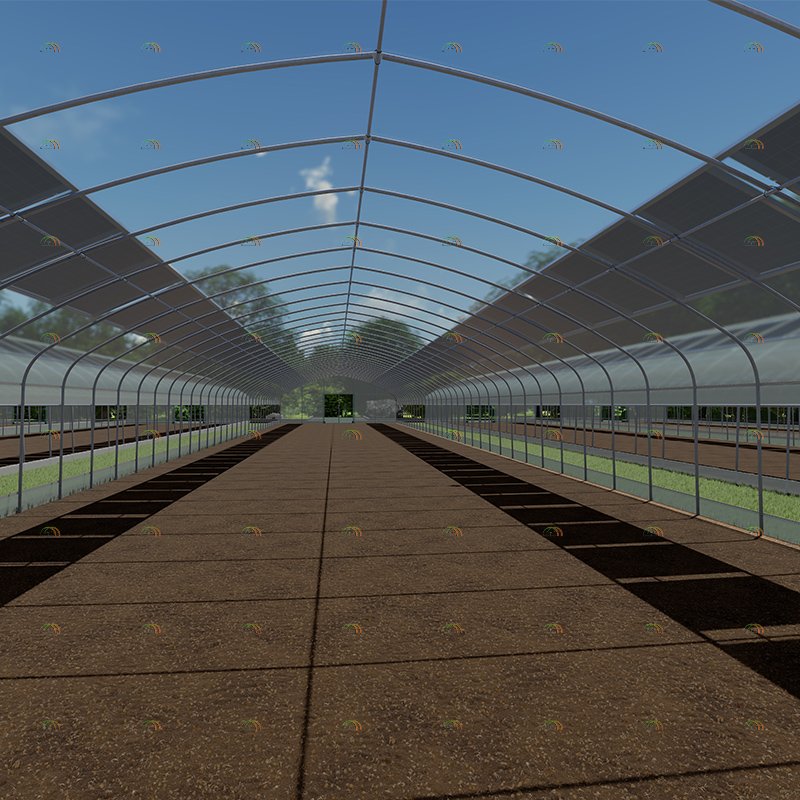 Customized Low Cost High Tunnel Tomato Growing Vegetable Agricultural Solar Greenhouse