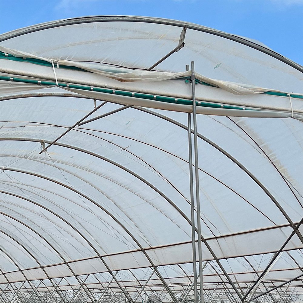 Metal Frame for Agricultural Greenhouses with Wind Resistance