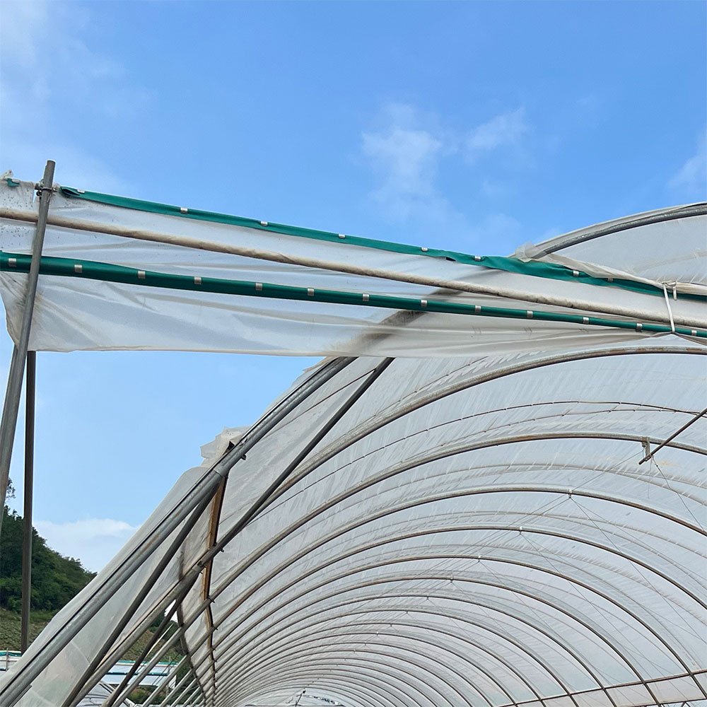 Metal Frame for Agricultural Greenhouses with Wind Resistance