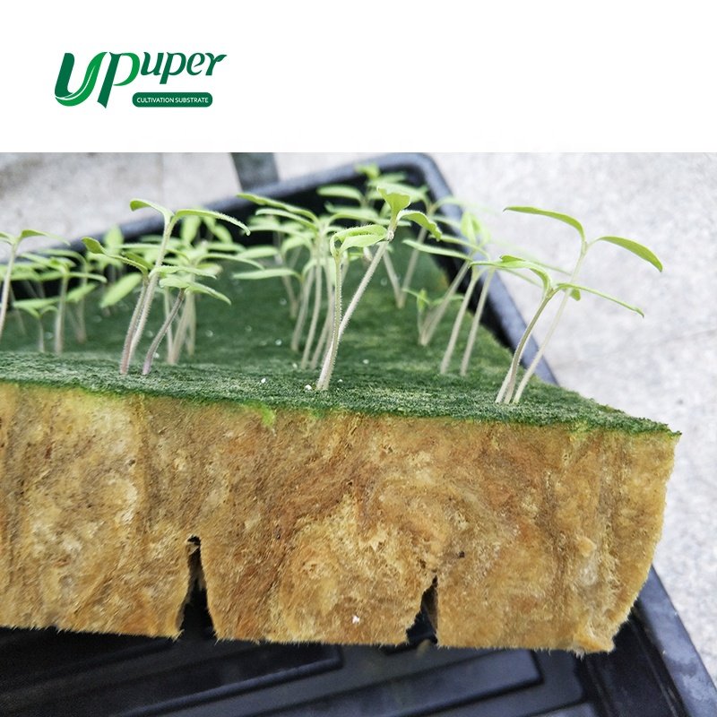 UPuper hydroponics farms cubes sponge 1x1inch planting vegetable seeds greenhouse tomato vertical farming