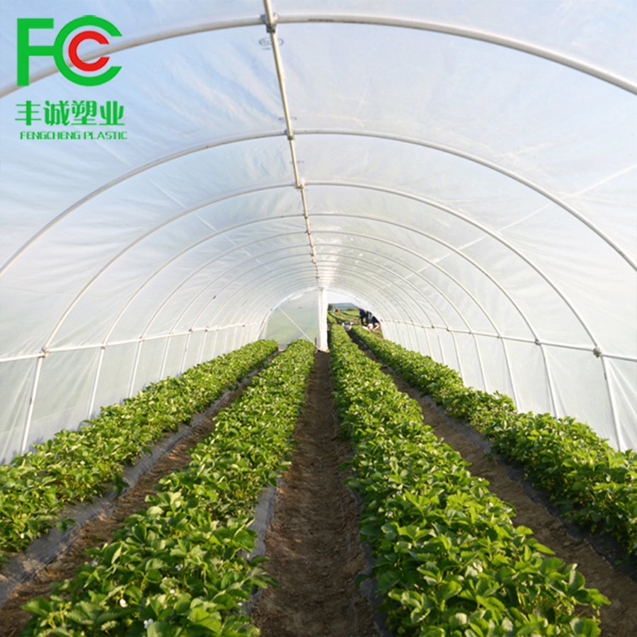 Wholesale waterproof/windproof clear plastic woven pe film,200 micron UV stabilized greenhouse woven film covering flowers