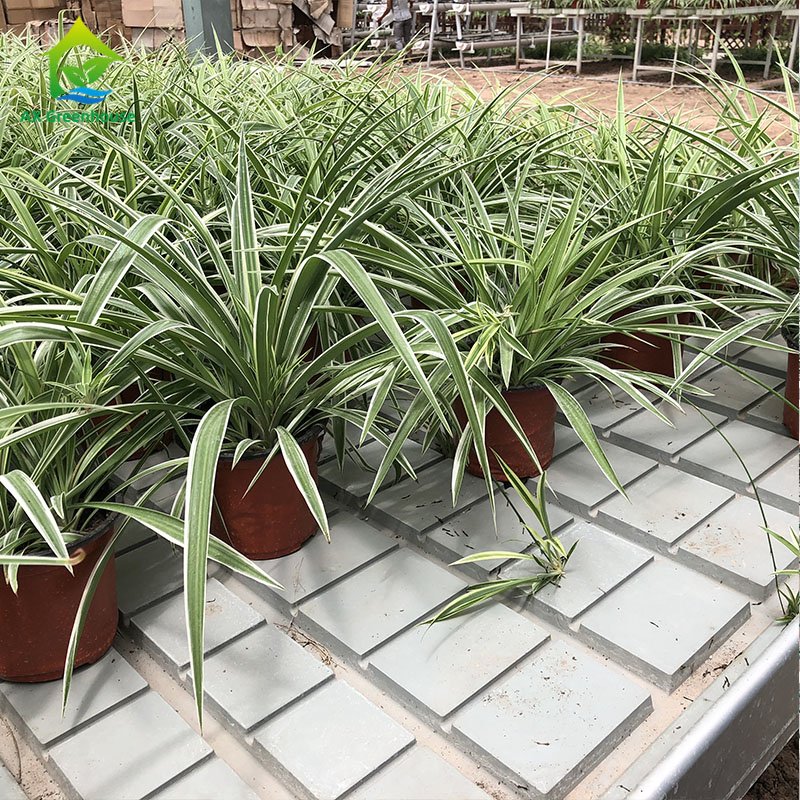 Multifunction Greenhouse Agricultural Hydroponic Greenhouse Rolling Benches with Ebb and Flow System