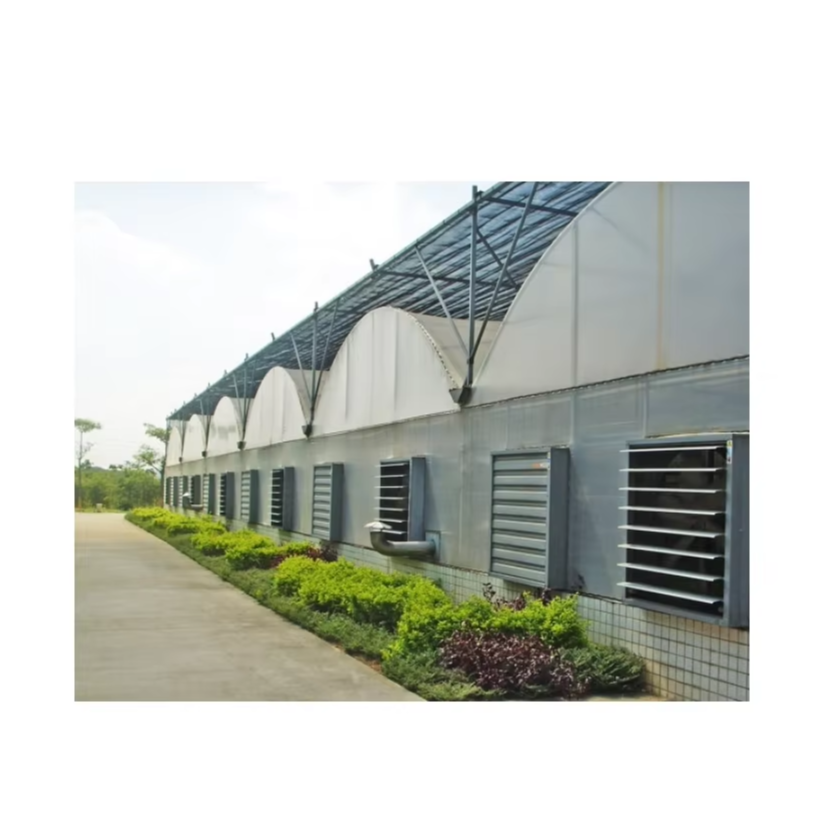 Commercial High Tunnel Greenhouse for Flower & Vegetable Cultivation Garden Greenhouse for Large Scale Vegetable Growing