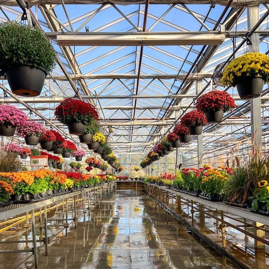 PC Sheet Garden Agricultural Greenhouse With Control System