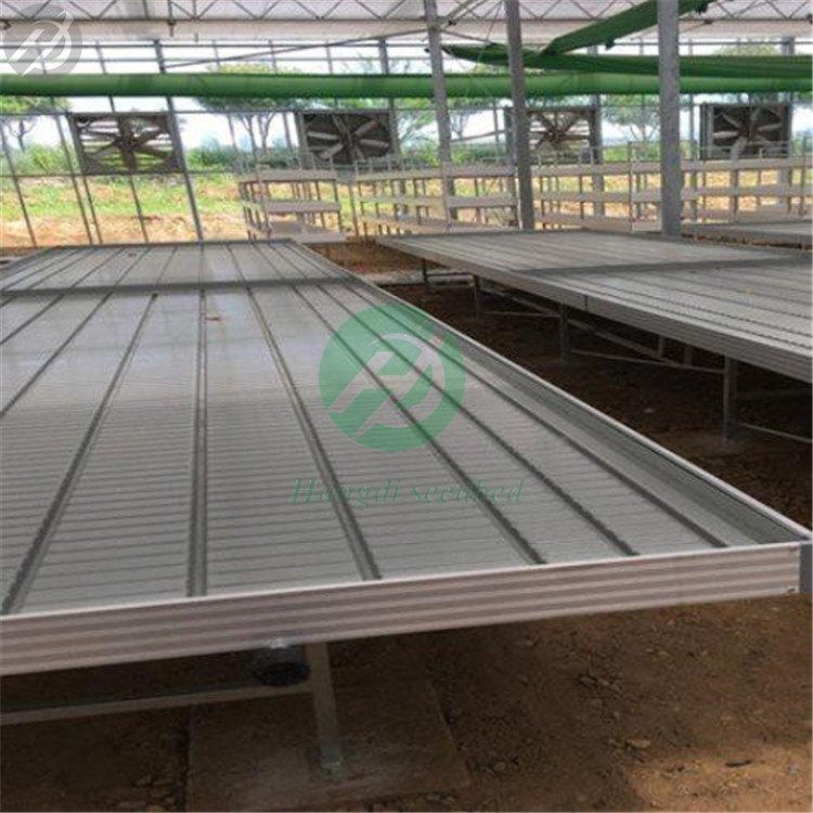 greenhouses hydroponics system bed plant nursery flood trays table bench plant vertical farming 4*8 Grow Multi Layer Grow Table