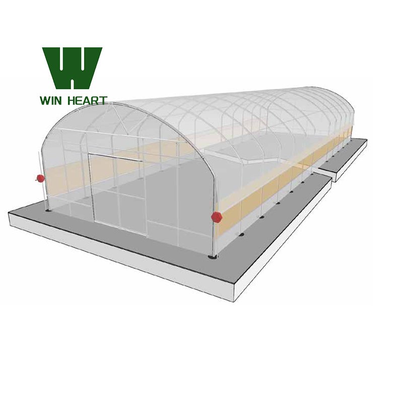 Low Cost Commercial Green Houses Agriculture Greenhouse