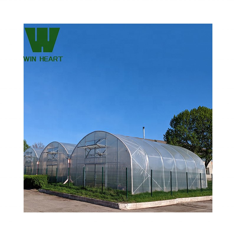 Low Cost Commercial Green Houses Agriculture Greenhouse