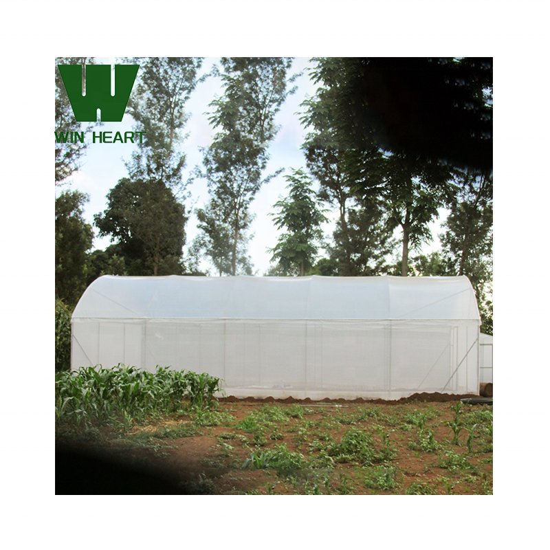 Low Cost Commercial Green Houses Agriculture Greenhouse