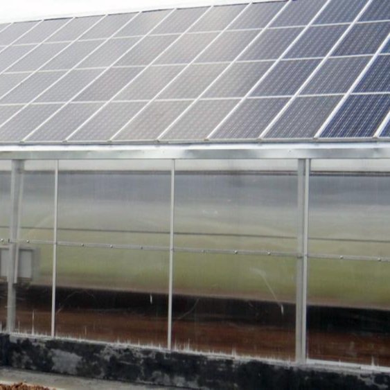 Solar Agricultural Greenhouses Glass Hydroponic Venlo Type Photovoltaic Solar Greenhouse Large