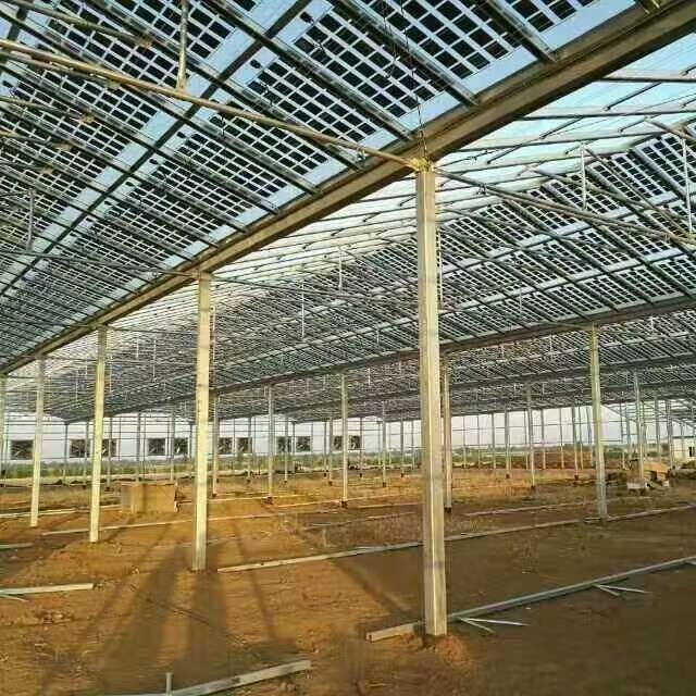 Solar Agricultural Greenhouses Glass Hydroponic Venlo Type Photovoltaic Solar Greenhouse Large