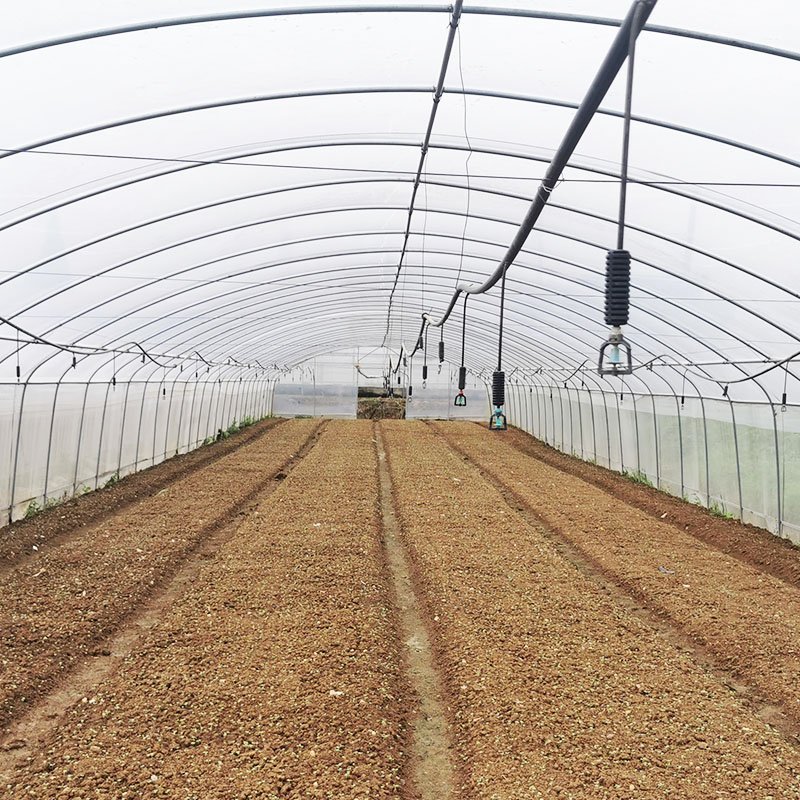 Film polytunnel greenhouse plastic film hydropnnic vegetable tunnel single-span greenhouses