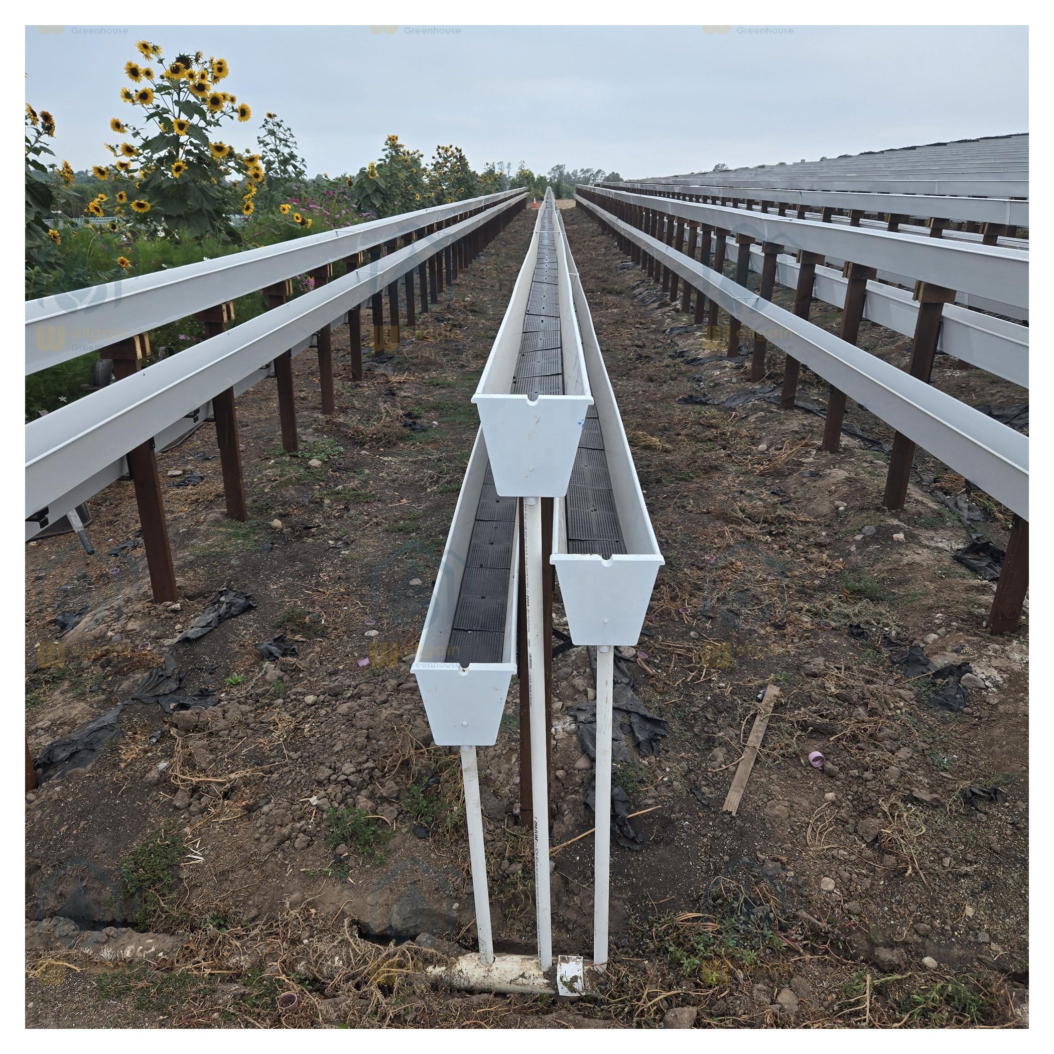agriculture greenhouse farm strawberry vertical nft gutter agricola A-frame pvc channel grow system for lettuce kale