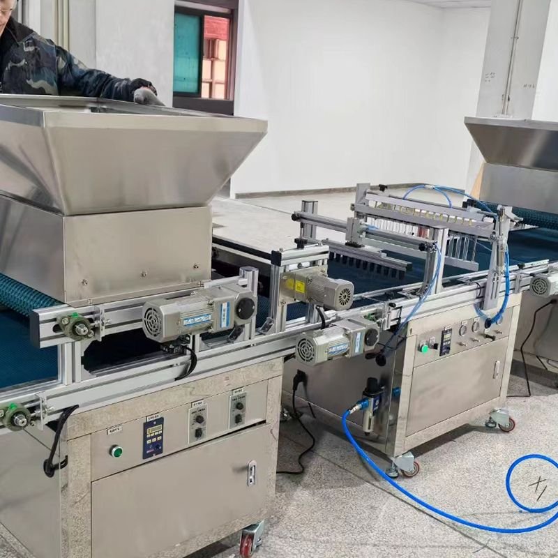 Automated seedling production line Vegetable tray seeder for greenhouse Floating tray seedling seeder production line