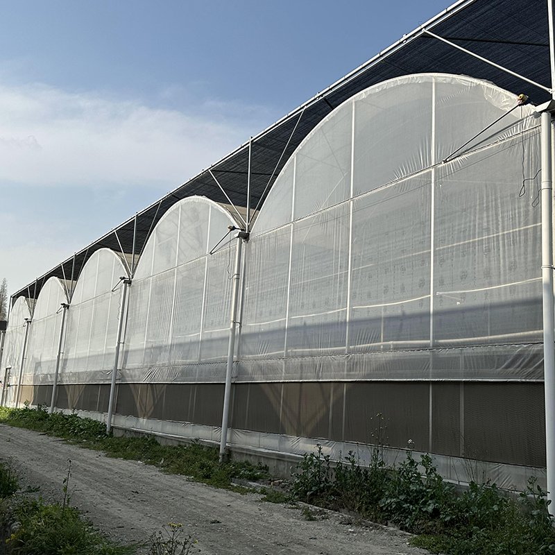 Agriculture multi-span arch plastic film greenhouse top ventilation multi-span film greenhouse for sale