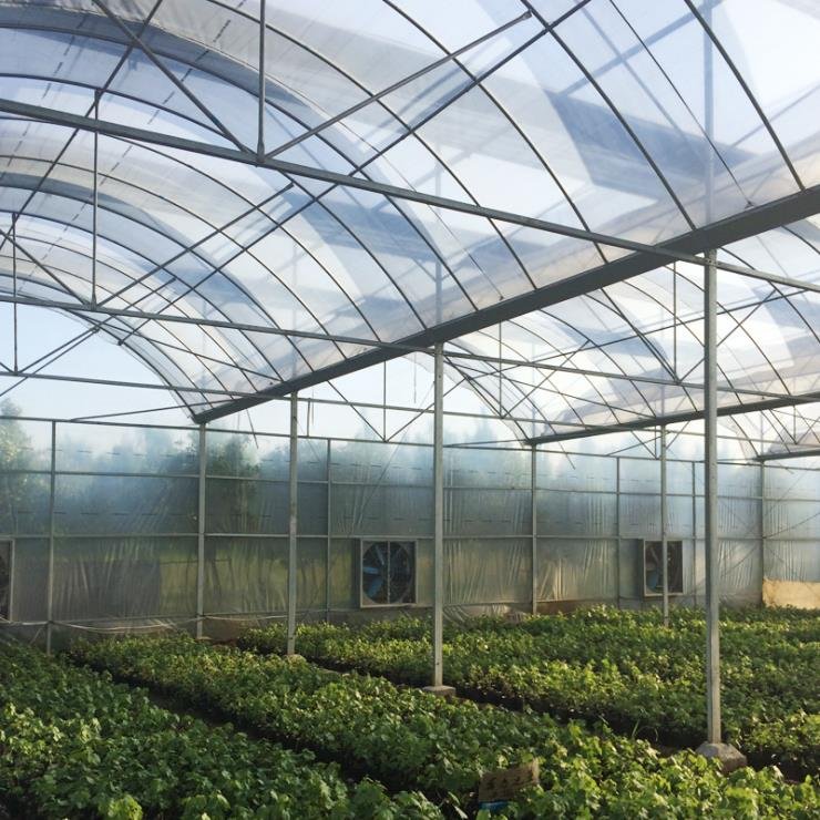 large green house with hot galvanized steel pipe film greenhouse agriculture greenhouse