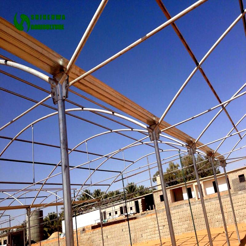 large green house with hot galvanized steel pipe film greenhouse agriculture greenhouse