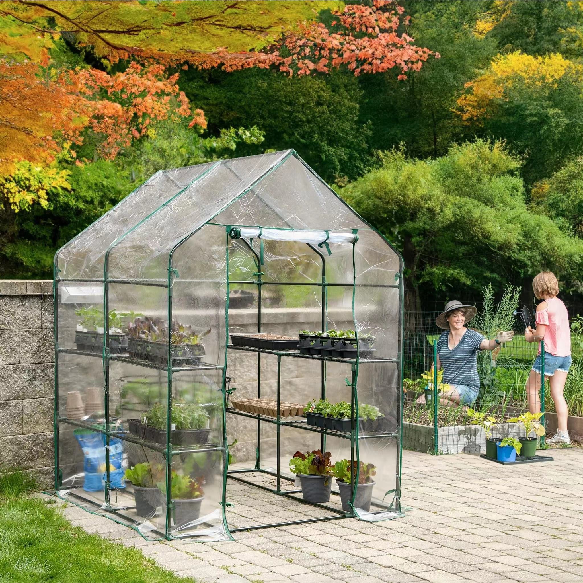 Good Quality easily access garden greenhouses mini-greenhouse agricultural greenhouse
