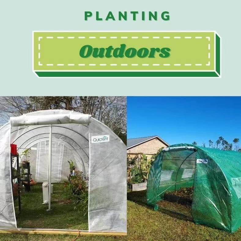 Good Quality easily access garden greenhouses mini-greenhouse agricultural greenhouse