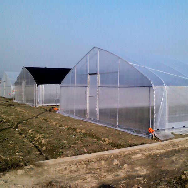 Single Span Polytunnel Double Layers Plastic Film Greenhouse