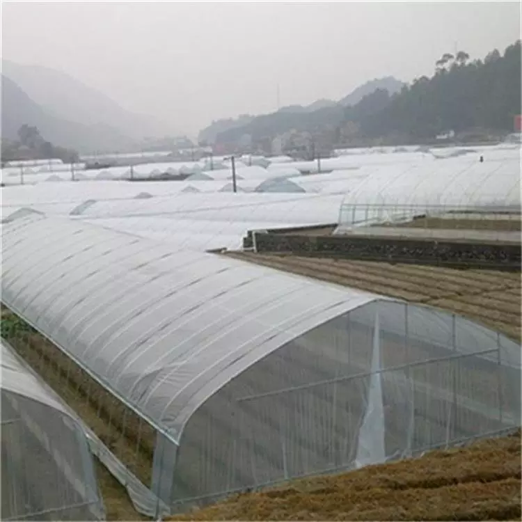 Single Span Polytunnel Double Layers Plastic Film Greenhouse