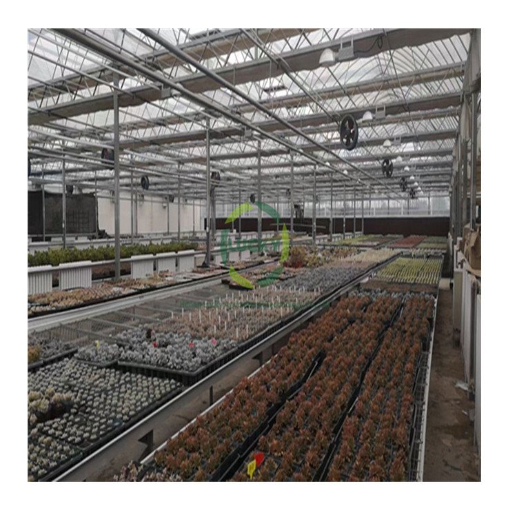 Constant Temperature Rainproof And Disaster-Proof Agriculture Modern Automation System Greenhouse For Tomato Farm