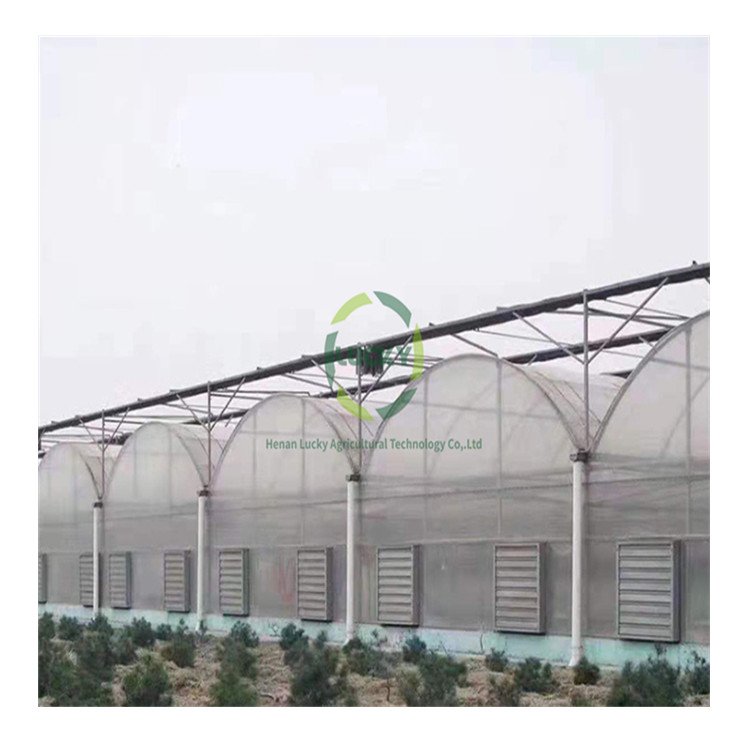 Constant Temperature Rainproof And Disaster-Proof Agriculture Modern Automation System Greenhouse For Tomato Farm