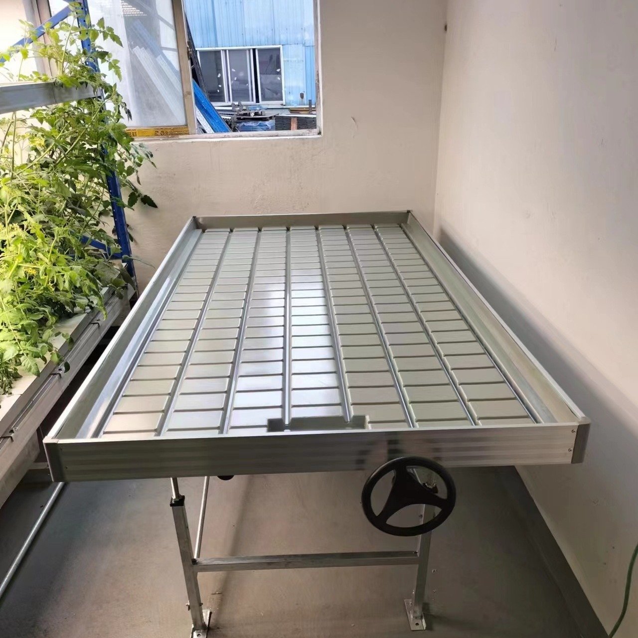 Large Greenhouse Hydroponic Grow Table Ebb Flood for Plant Growth Durable PE Film Steel and Plastic Material for Agriculture