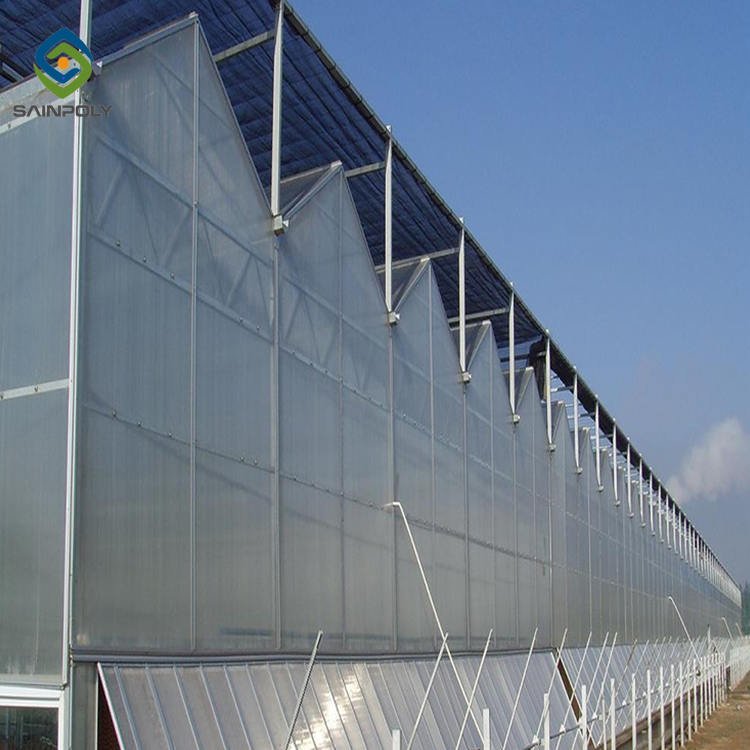 Sainpoly large polycarbonate greenhouses control hydroponics system farm commercie plant for greenhouse for sale