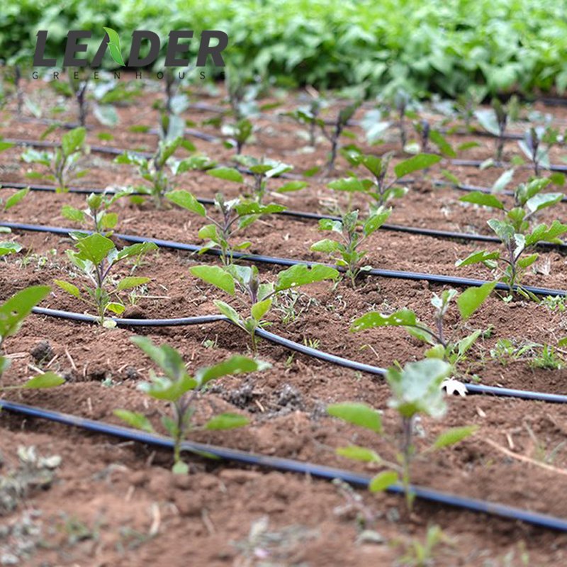 China high quality Agriculture Irrigation System PE drip tape irrigation drip tape 16 mm for Agriculture With Flat Droppers
