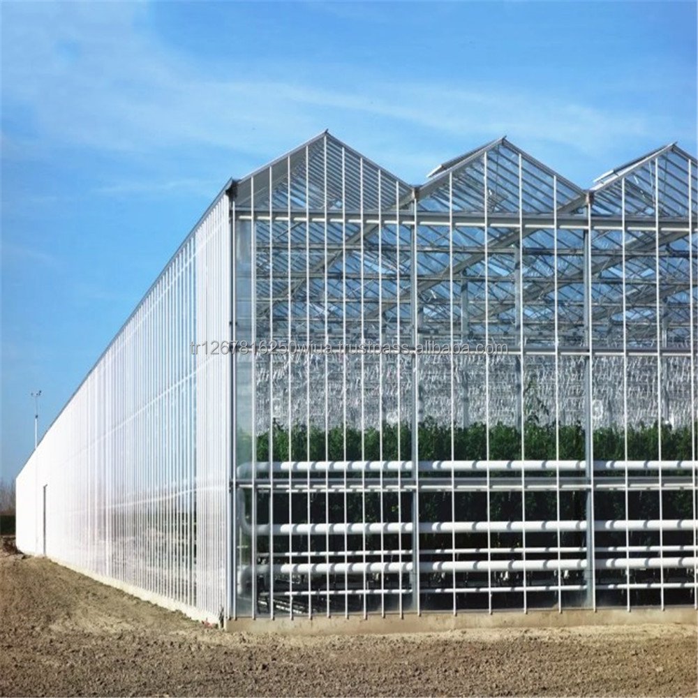 Best Manufacturing Awarded Turnkey Glass Greenhouse Construction Projects Turkey's Hydroponic PE Material for Agriculture Use