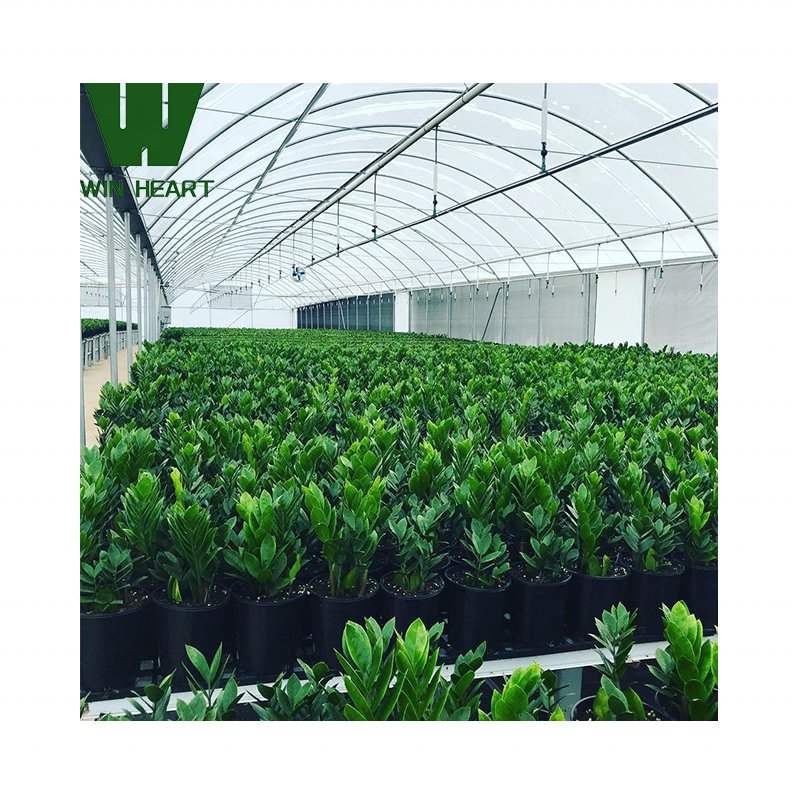 Greenhouse Hydroponic system for green plants, vegetables, fruits and melons