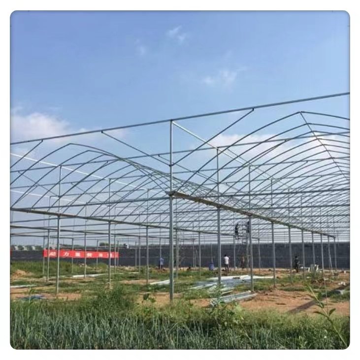 Wholesale Large Intelligent Greenhouse Hydroponic Agriculture Double Layer Square Tomato Cultivation Steel Film Cover Glass top