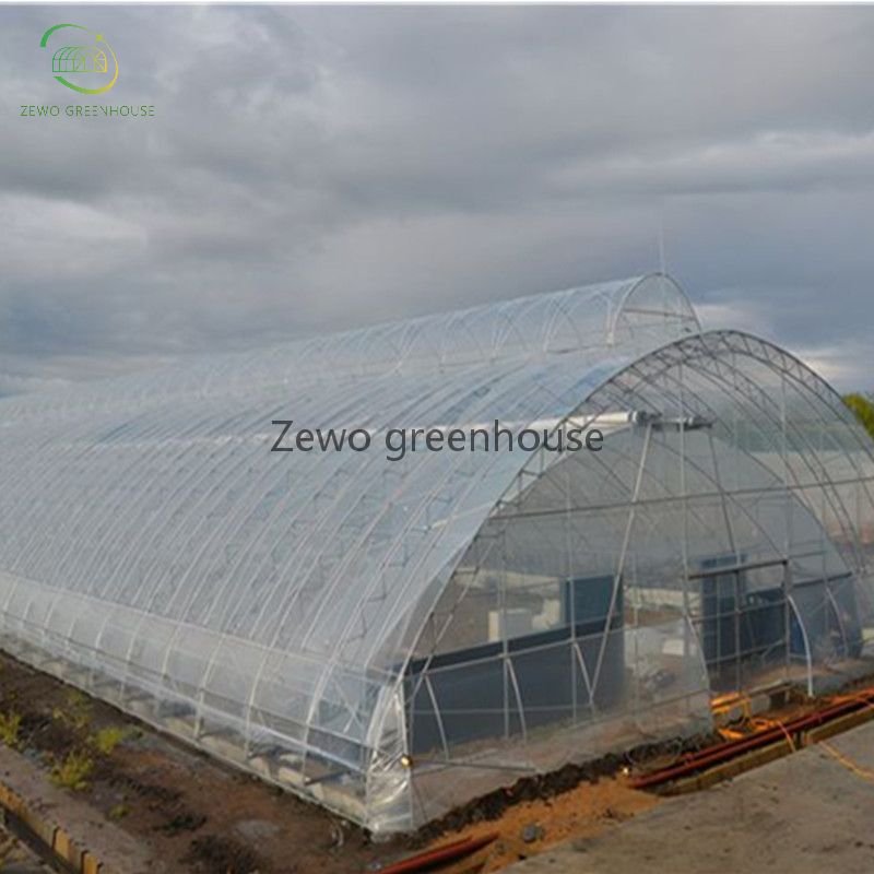 Frame Steel Galvanized Agricultural Polytunnel Greenhouse Single-Span Greenhouse High Tunnel Greenhouse