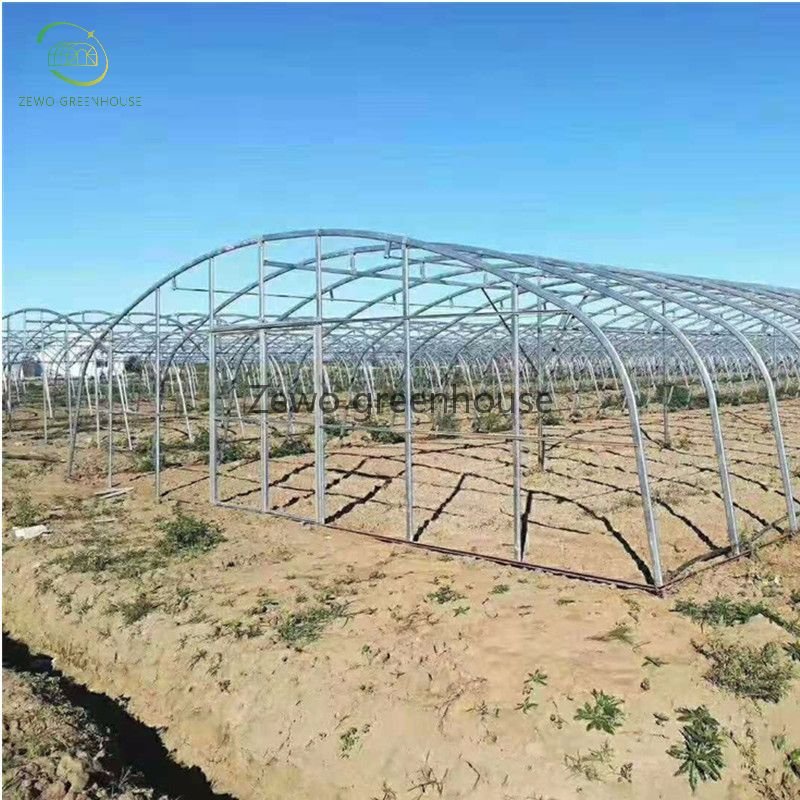 Frame Steel Galvanized Agricultural Polytunnel Greenhouse Single-Span Greenhouse High Tunnel Greenhouse