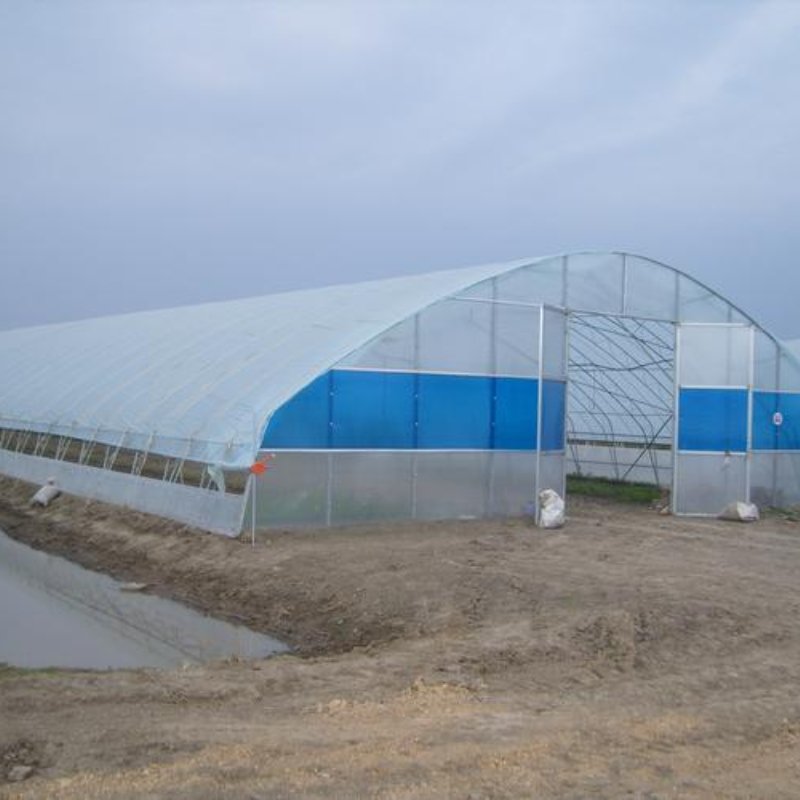 Frame Steel Galvanized Agricultural Polytunnel Greenhouse Single-Span Greenhouse High Tunnel Greenhouse