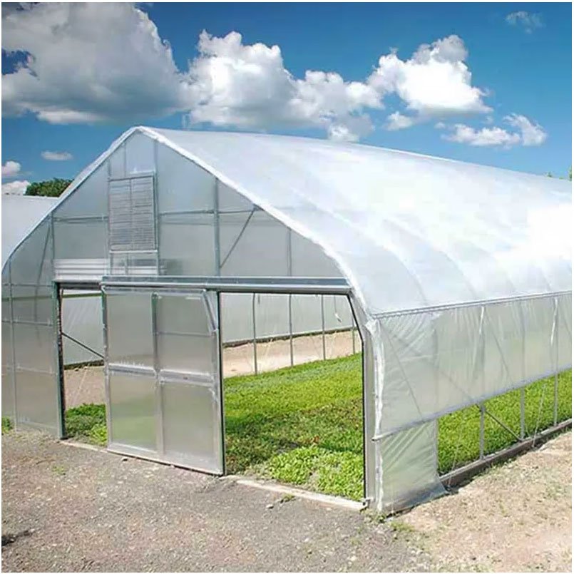 Large Size High Tunnel Agricultural Greenhouse for Tomato growing Green House