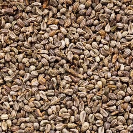 Agricultural Greenhouses Parsley Seeds